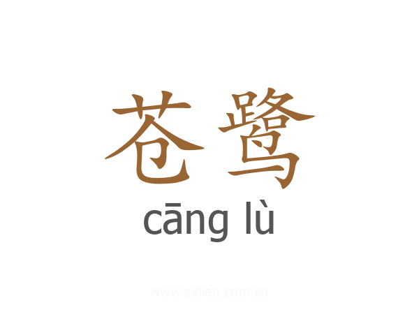 苍鹭