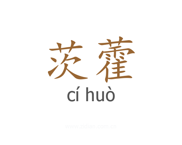 茨藿