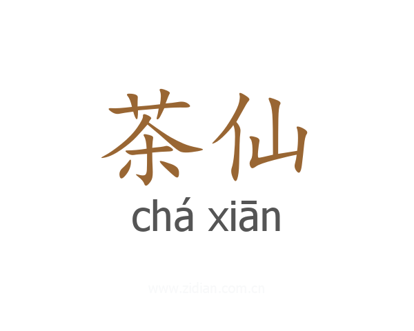 茶仙