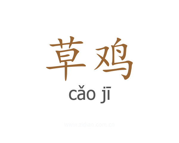 草鸡