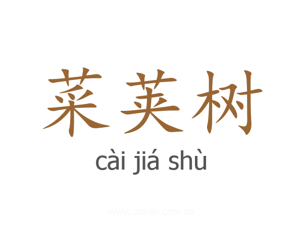 菜荚树