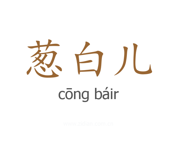 葱白儿
