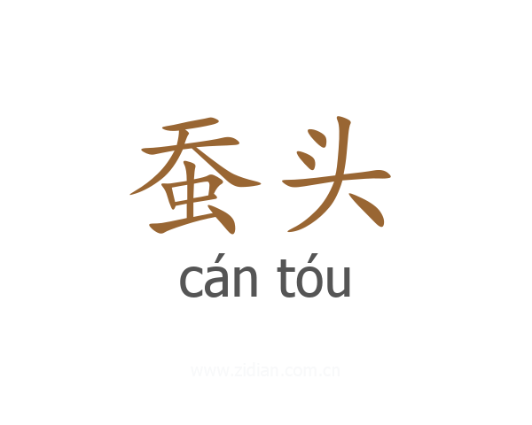 蚕头