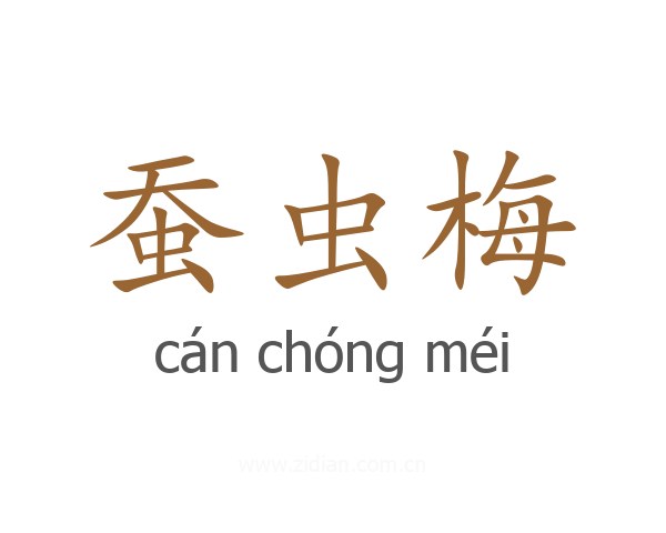 蚕虫梅