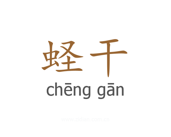 蛏干