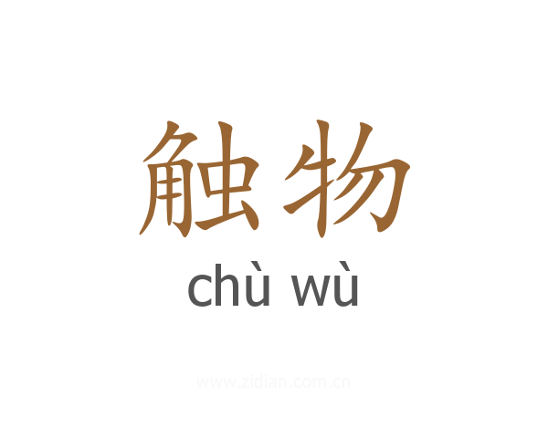触物