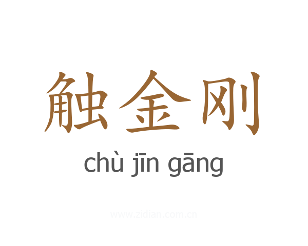 触金刚