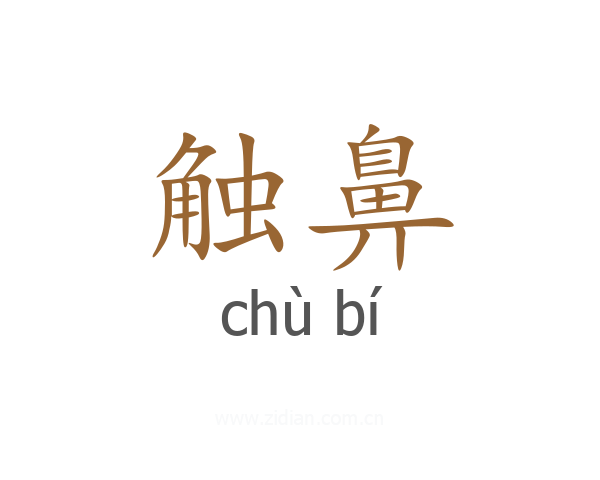 触鼻