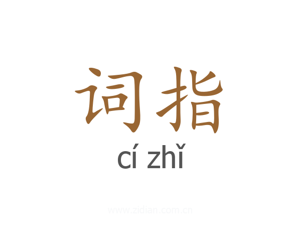 词指