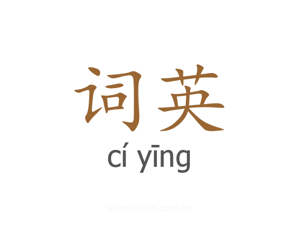 词英