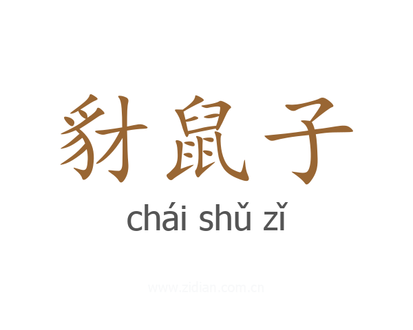豺鼠子