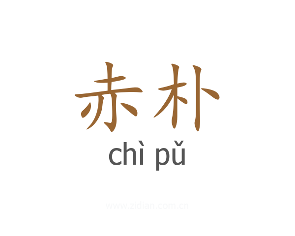赤朴
