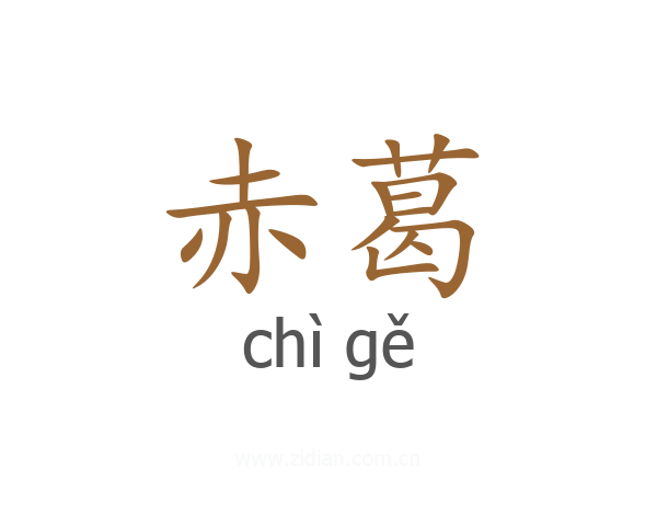 赤葛