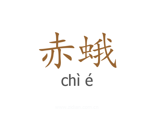 赤蛾