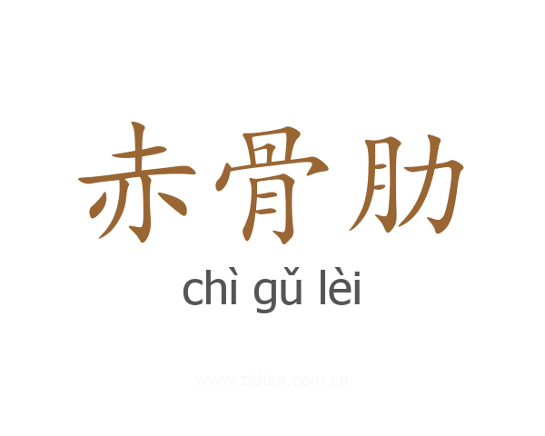 赤骨肋