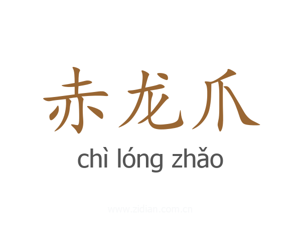 赤龙爪