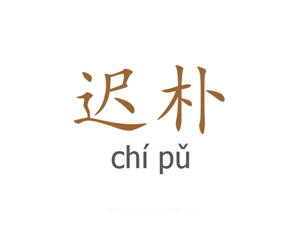 迟朴