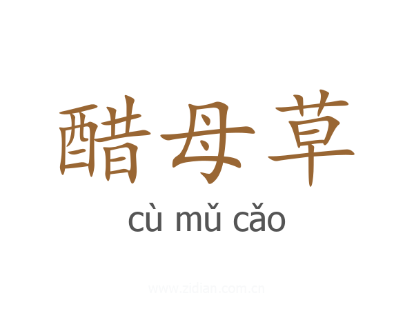 醋母草