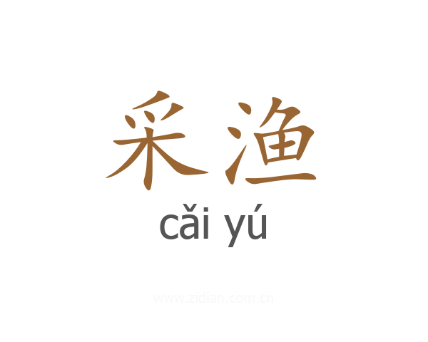 采渔