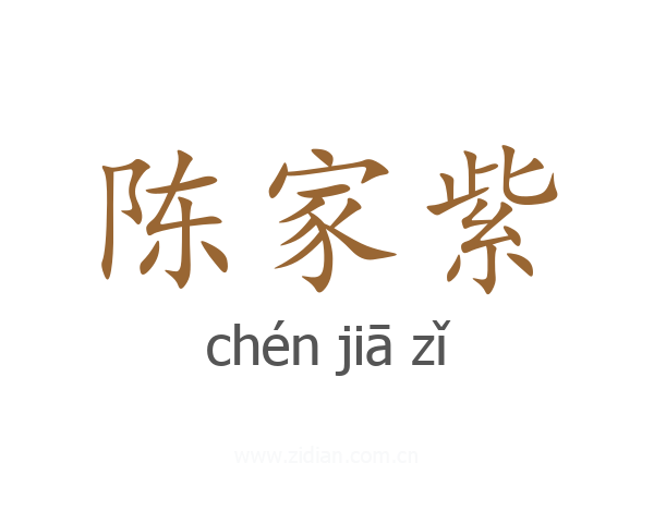 陈家紫