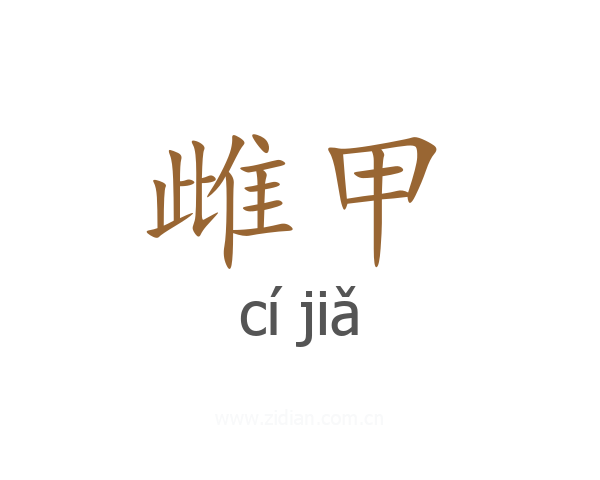 雌甲