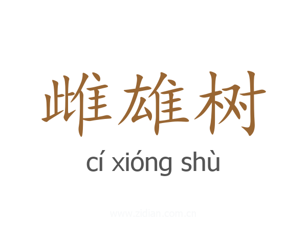 雌雄树