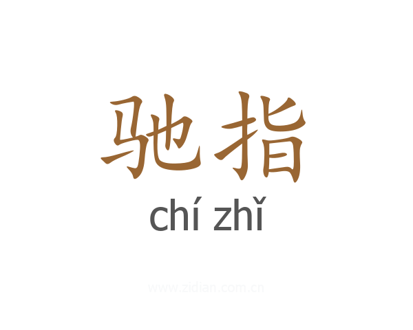 驰指