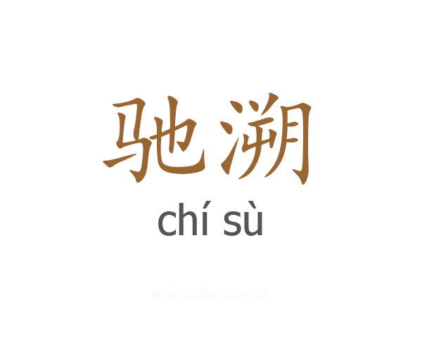 驰溯