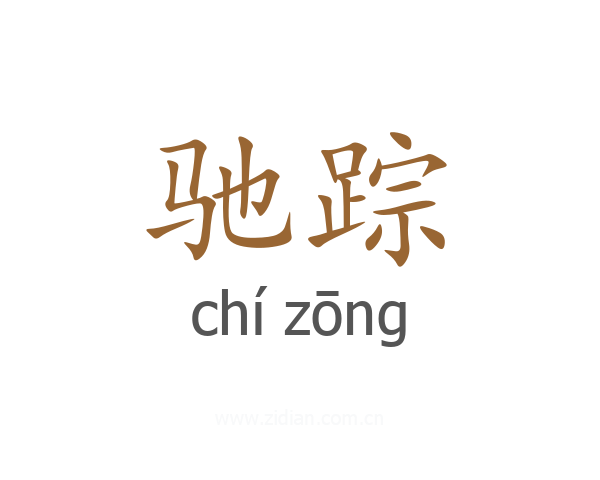 驰踪