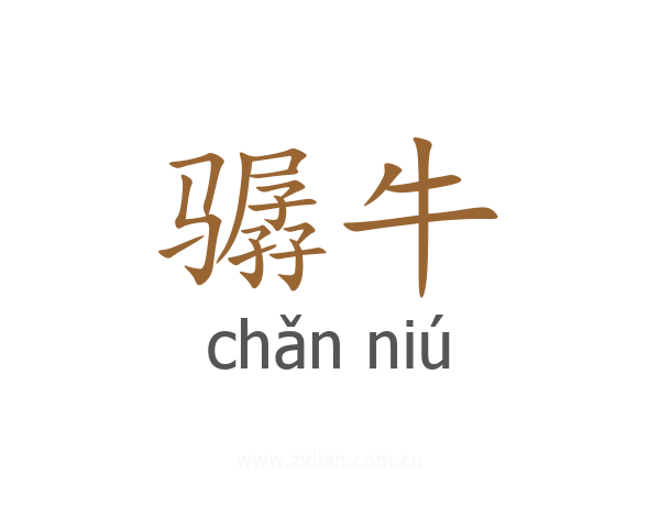 骣牛