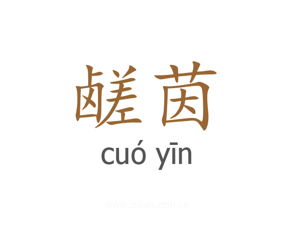 鹾茵