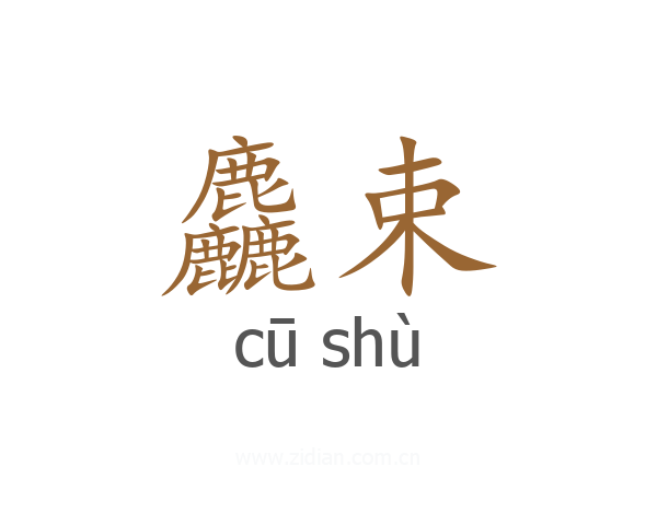 麤束