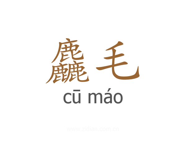 麤毛
