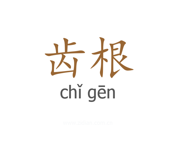 齿根
