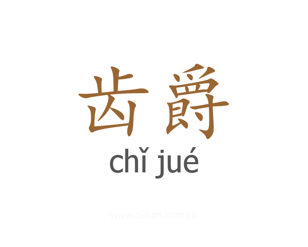 齿爵