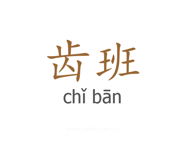 齿班