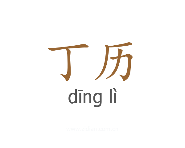 丁历