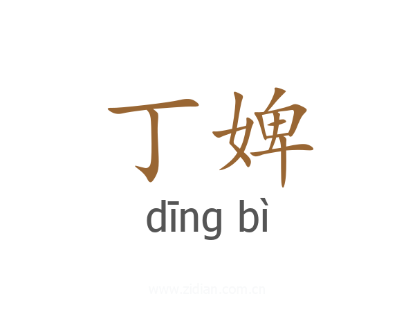 丁婢