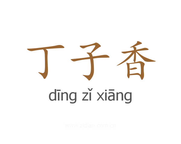 丁子香