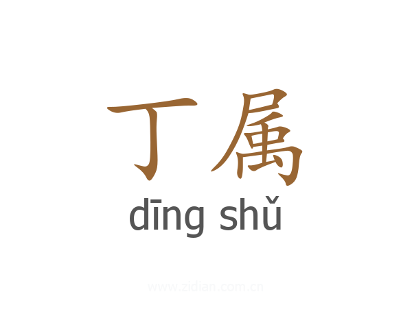 丁属