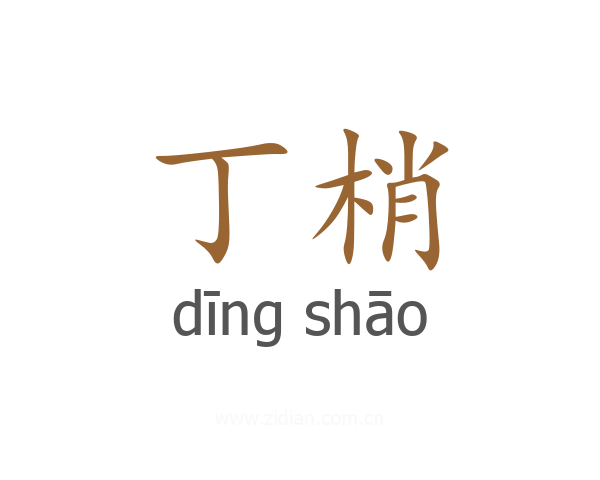 丁梢