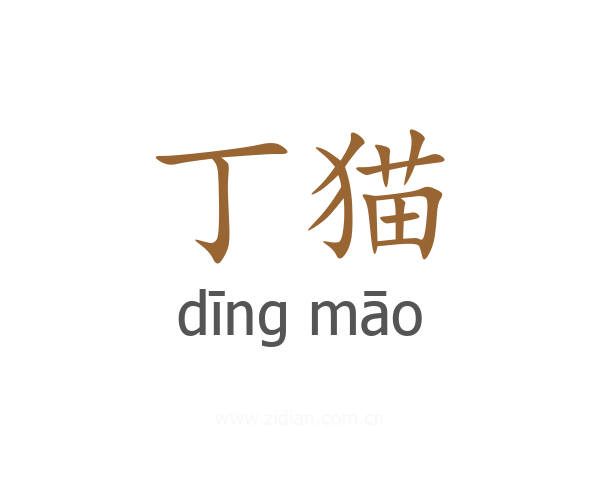 丁猫