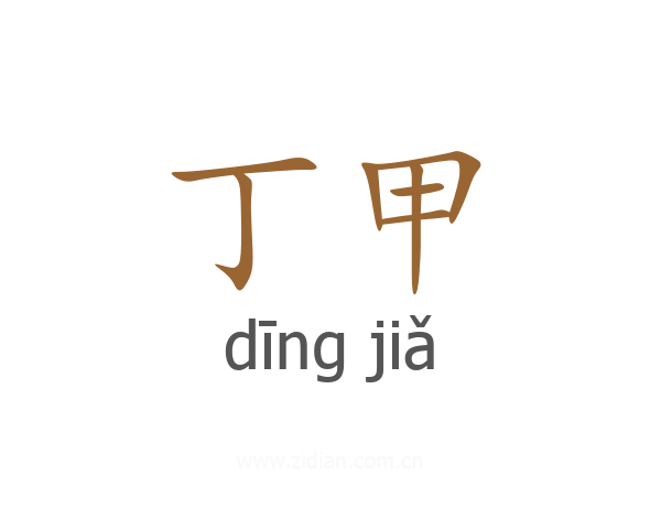 丁甲