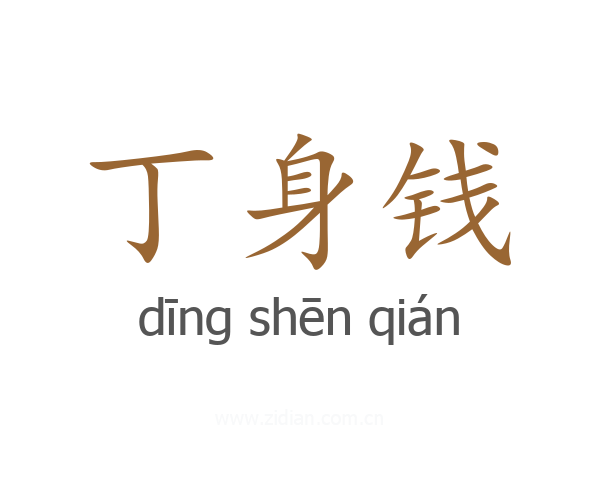 丁身钱