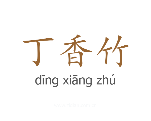 丁香竹