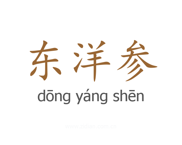 东洋参