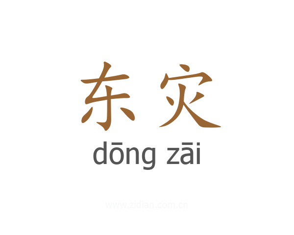 东灾