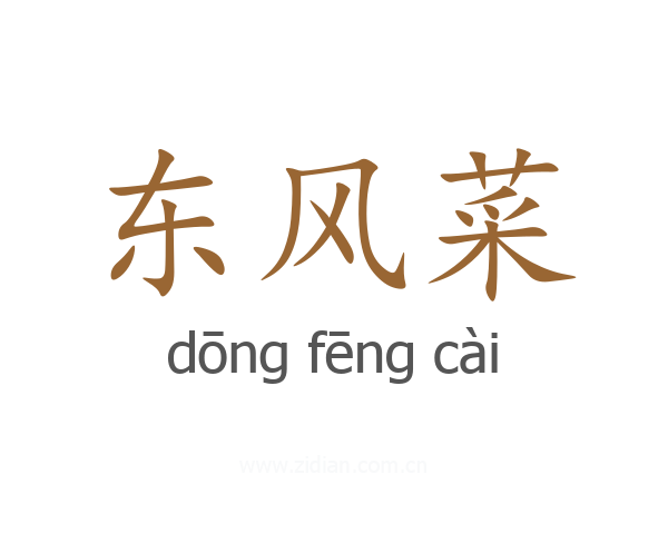 东风菜