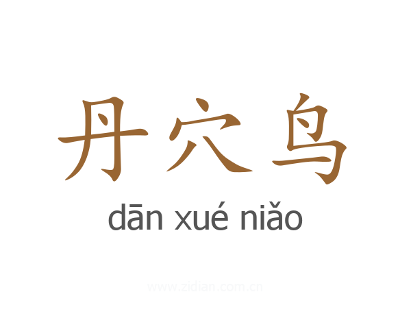 丹穴鸟