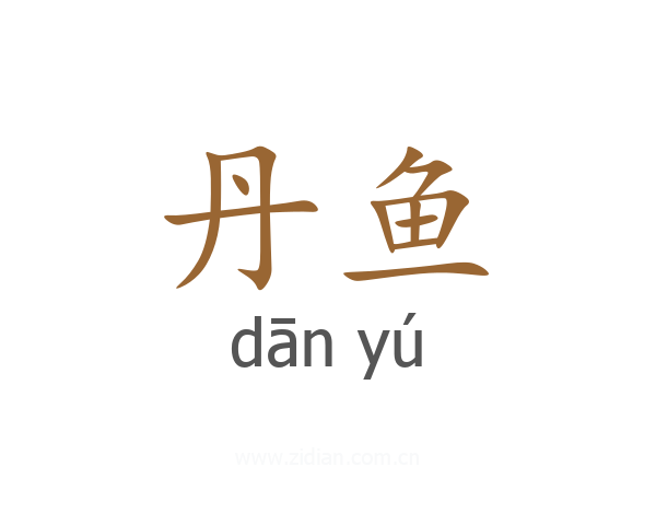 丹鱼